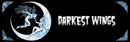 - Darkest Wings -: 2009